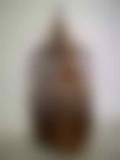 Terjual Jual Burung Anis Kembang Gacor Ngeplong Murah Jakarta Kaskus