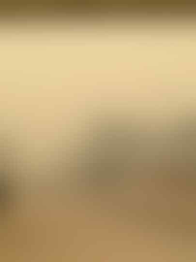 Instagram Saya Di Block ibu Ani Karena Curhat Masalah Asap Riau ke Beliau