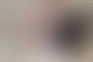 Terjual Anak Anjing Jack Russell Terrier Puppies Kaskus