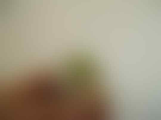 JUAL BATU AKIK SUNGAE DARE SUPER 
