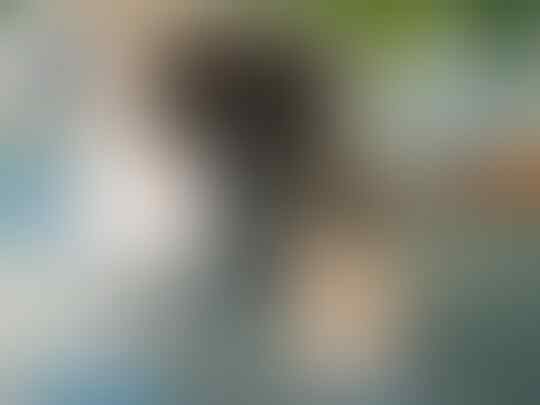 Jual samsung s3 putih second