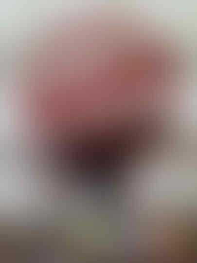 Terjual Burung Pelanduk Semak Jantan Semarang Kaskus