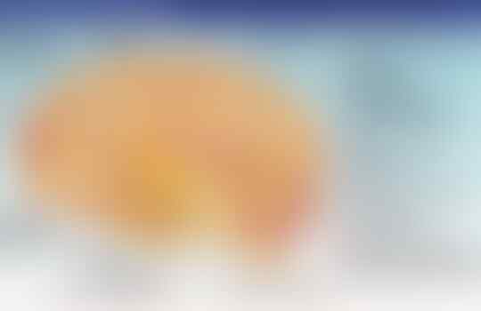 Ini gan gambar kerusakan otak akibat kecanduan pornografi!!