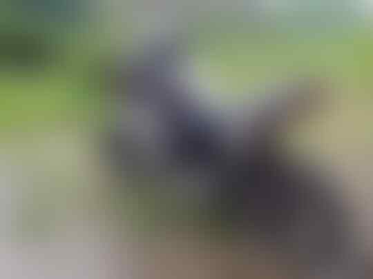 Body Belakang Byson (2nd) Muraaaaahhhhhhhhh!!!!!!!!!