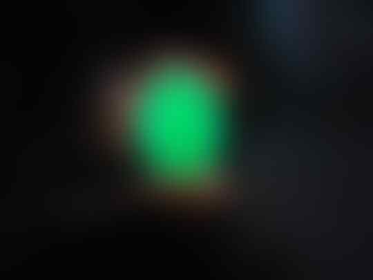BACAN PALAMEA