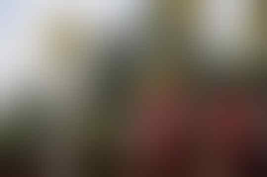 Melihat Indahnya Pesona Kabupaten Kuningan di Timur Jawa Barat