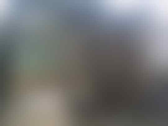 Terjual Kandang Anjing Murah Bekas Bagus Kaskus