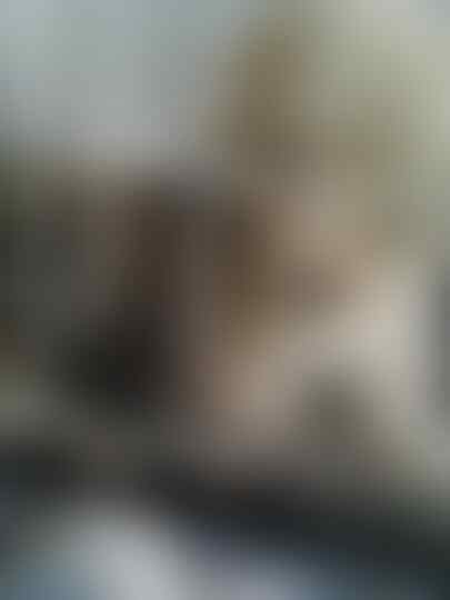 Terjual Jual Anak Anjing Lucu 2 Bulan Pom Mix Peking Murah Kaskus