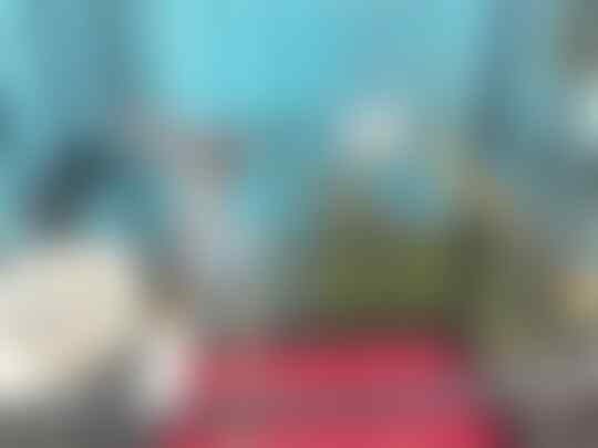 Terjual Burung Ciblek Kristal Kaskus