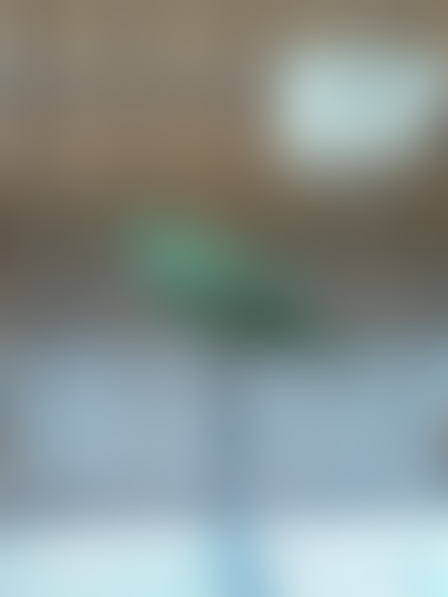 Terjual Jual Burung Cucak Ijo Mini Kaskus