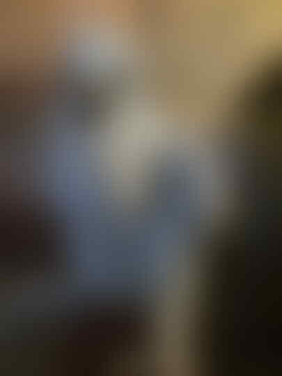 670+ Gambar Burung Elang Anakan Gratis Terbaru