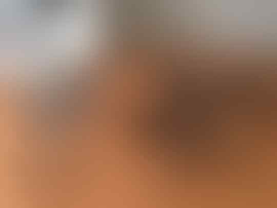 Jual cepat pasrah sepeda 2nd cocok buat ke pasar