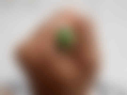 Dijual Berbagai Cincin Batu Dan Kerikil (Kolpri)