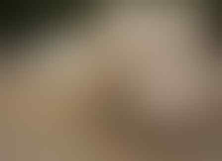 Inilah Penyebab Mengapa Orang Malas Pindah Kost / Kontrakan