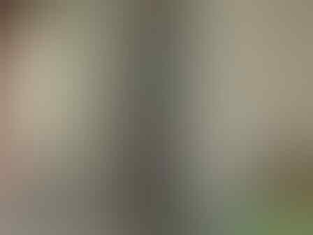 Inilah Penyebab Mengapa Orang Malas Pindah Kost / Kontrakan