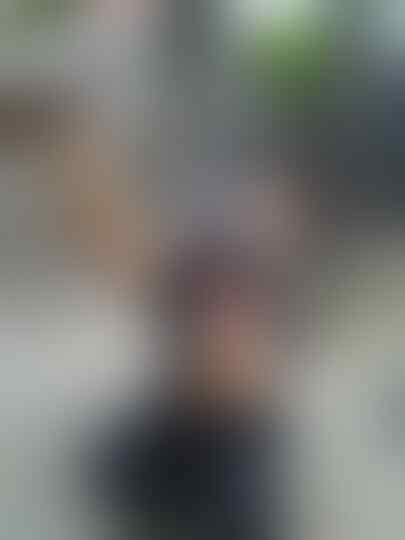 Terjual Wts Burung Dara Kolongan Kaskus