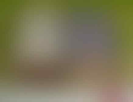 WISUDA itu identik dengan……..