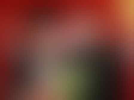 WISUDA itu identik dengan……..