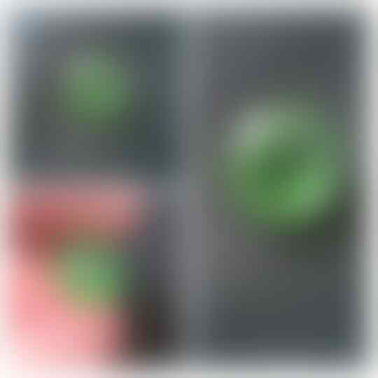 LELANG BATU #30 (Bulmon,Combong,Nogosui,dll) Close 16 Sept (22.30)