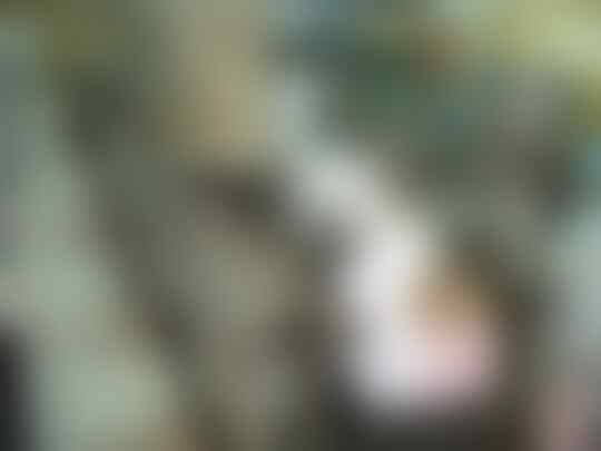 CETAK KWITANSI, PPOB, NOTA, SLIP GAJI CONTINUOUS FORM
