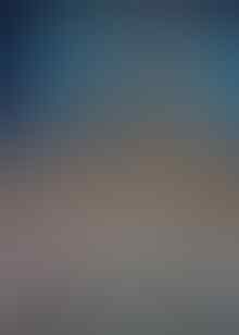 Terjual Paket Dvd Film Tentang Anjing Pecinta Anjing Mari Masuk