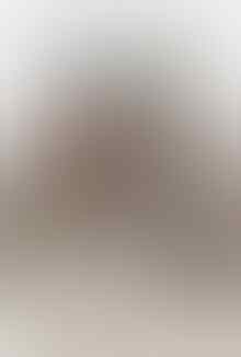 Terjual Paket Dvd Film Tentang Anjing Pecinta Anjing Mari Masuk