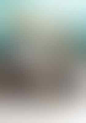 Terjual Paket Dvd Film Tentang Anjing Pecinta Anjing Mari Masuk