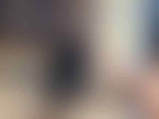 Terjual Burung Decu Kacer Mini Gacor Jinak Full Kaskus