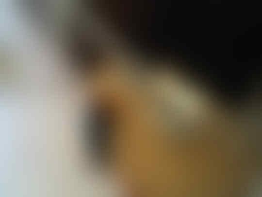WTB gibson les paul studio 50's tribute