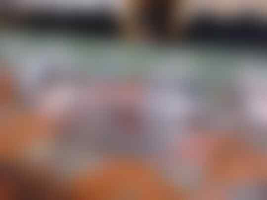 Jual Trumpet Bb