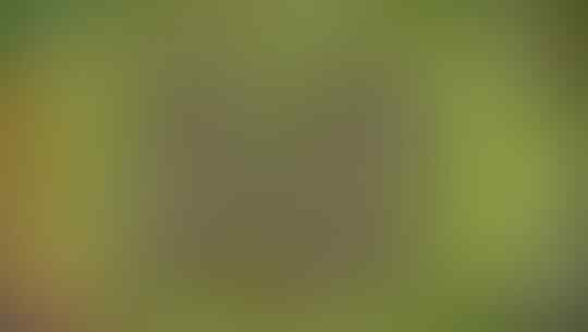 jual id clash of clans