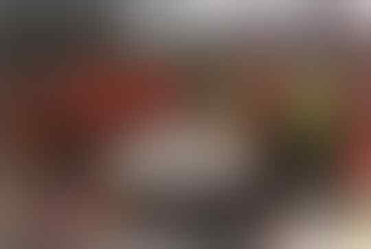 Akhirnya PERSIB Juara ISL 2014, dan "Dia" Harusnya Nikah Dengan Monyet