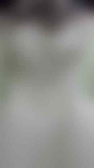 Wedding Dress / Baju Pengantin Kece