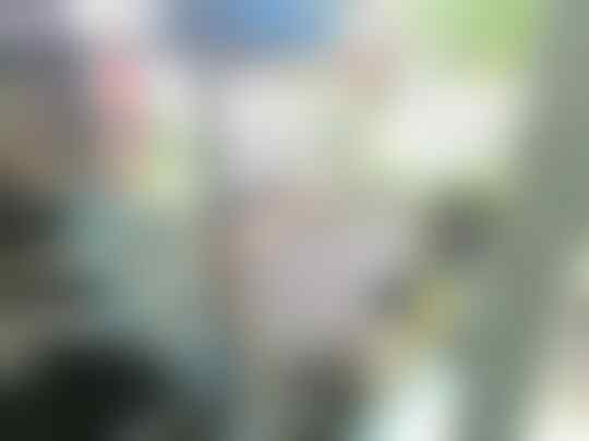 Terjual 4 Burung Parkit Jantan Betina Sarang Kaskus