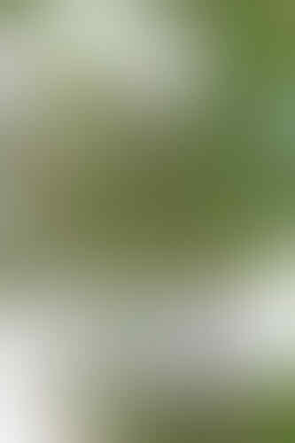 Canon EOS 70D