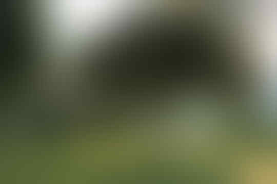 Canon EOS 70D