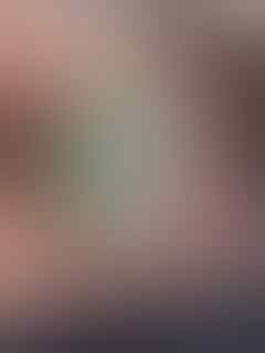 Jual Idocrase Belimbing Aceh Jumbo Tangerang