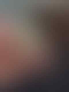 Jual Idocrase Belimbing Aceh Jumbo Tangerang