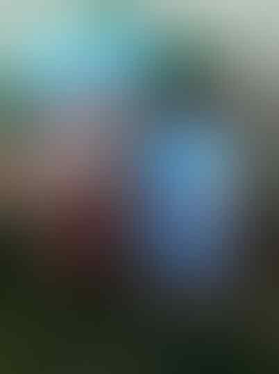 LCD Panasonic GD 55