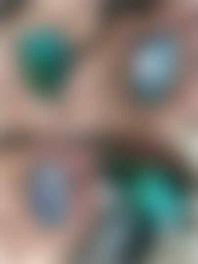 rough bacan murah kembali lagi harga di bawah lelang
