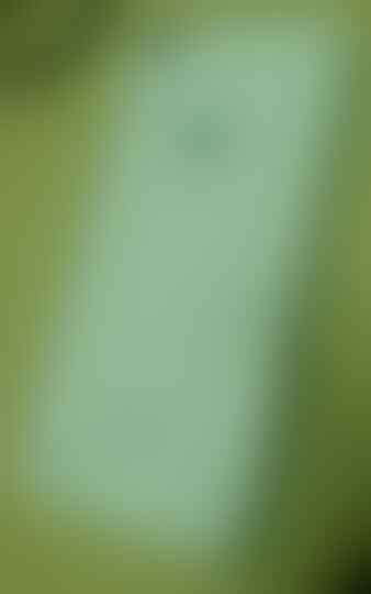 JIAYU G4S OCTACORE 1.66GHZ RAM 2GB CAMERA 13MP