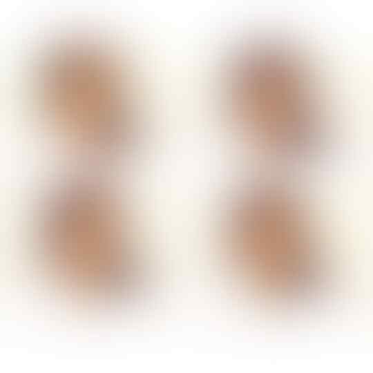 Kenalkan, Ini 7 Putri Pejabat Indonesia Yang Super Cantik!
