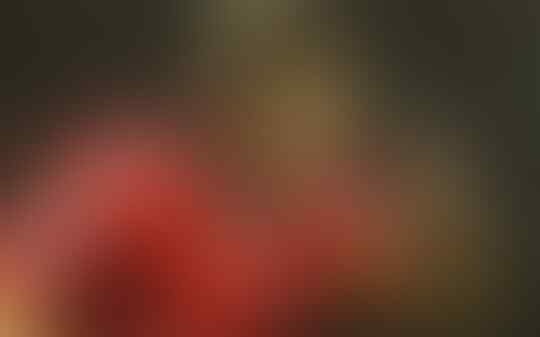 10 Pesepakbola Yang Loyal Pada Timnya