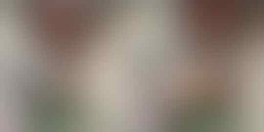 Apa Yang Terjadi Jika Tidak Ada Pemulung di Jakarta?