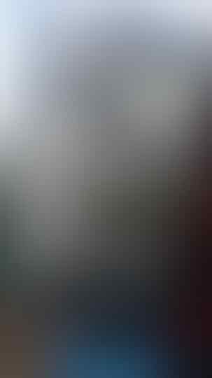 Terjual Jual Burung Pleci Kacamata Dakun Maput Asli Muria Rawatan