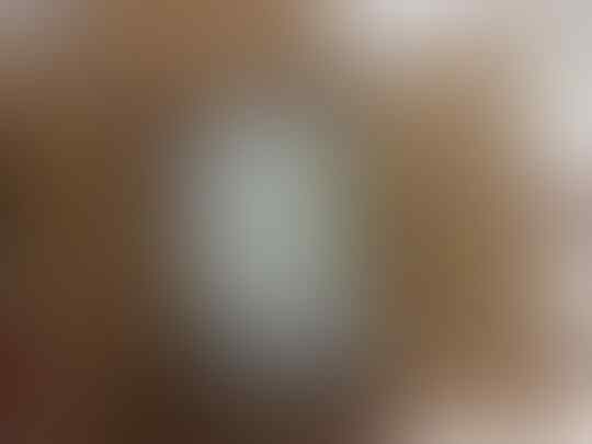 Hp Iphone dan Xiaomi Garansi