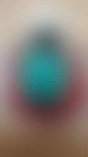 bacan doko ud jadi + ring perak jual cepet sampe besok malam