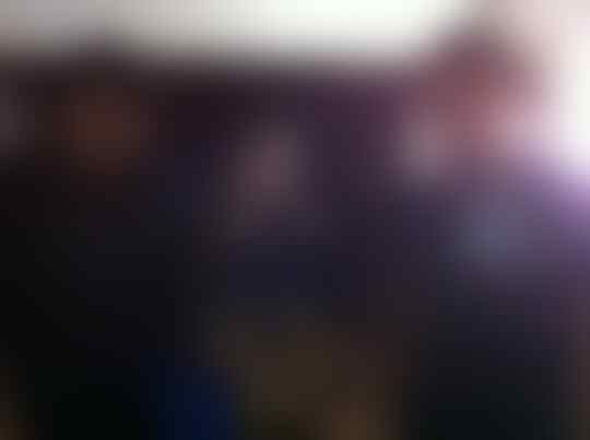 Terjual Sale Anakan Herder Anjing Gembala Jerman German