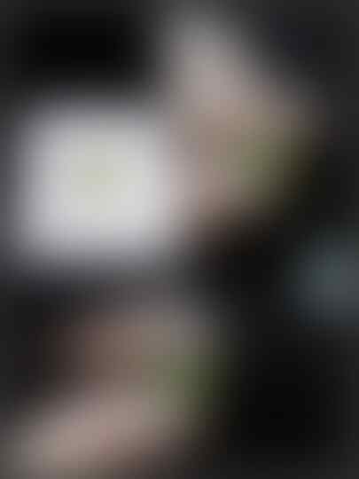 Jual Lelang pt11 hristov &quot;Premium turun.. didalam bnyak premium) 