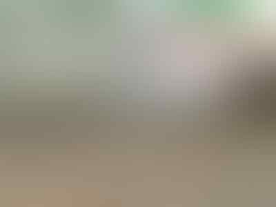 Cewe terbodoh di dunia + pic